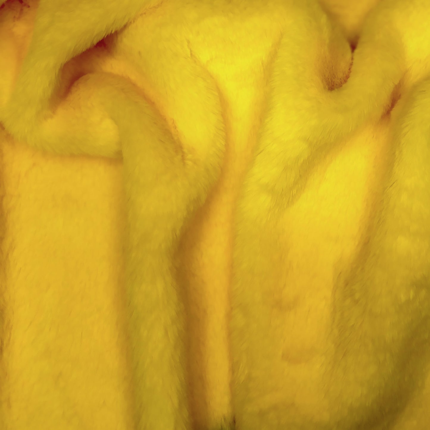 Beaver Yellow