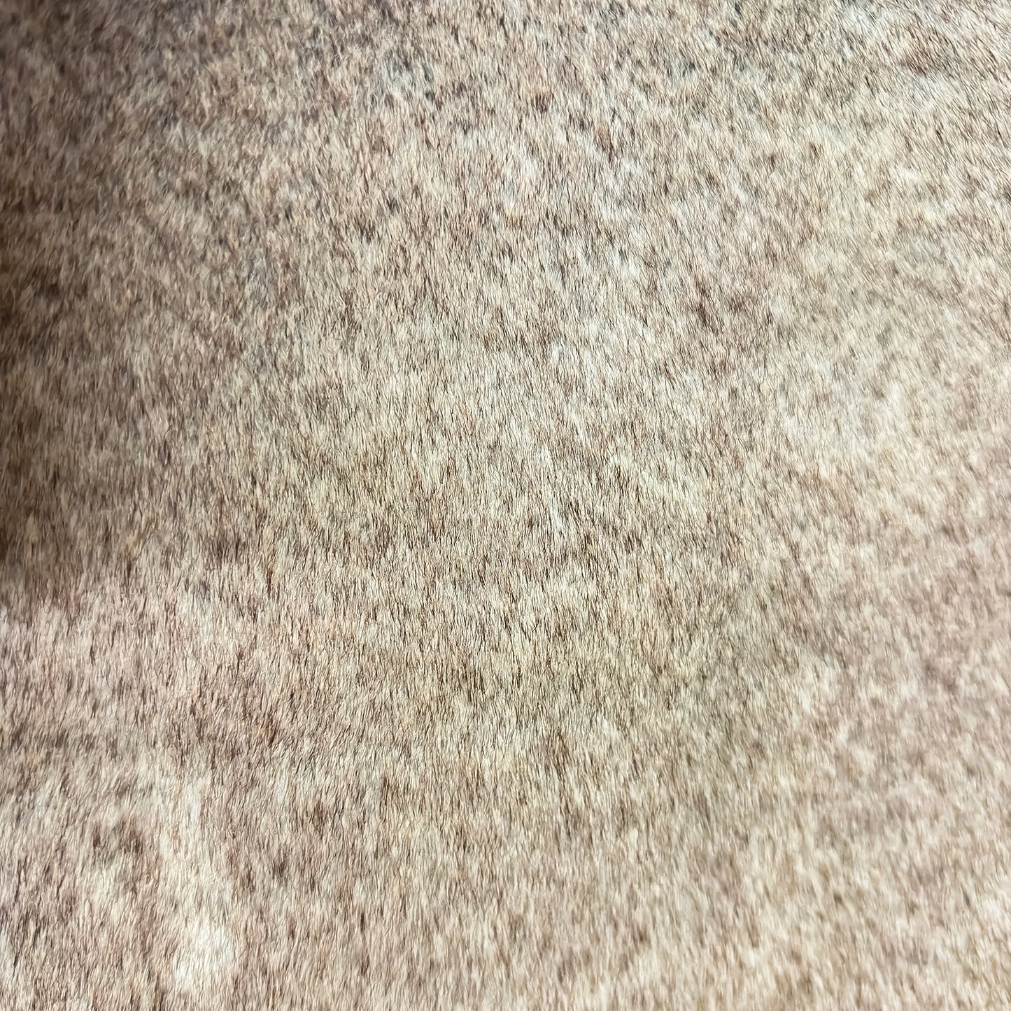 Northstar Brown Tip