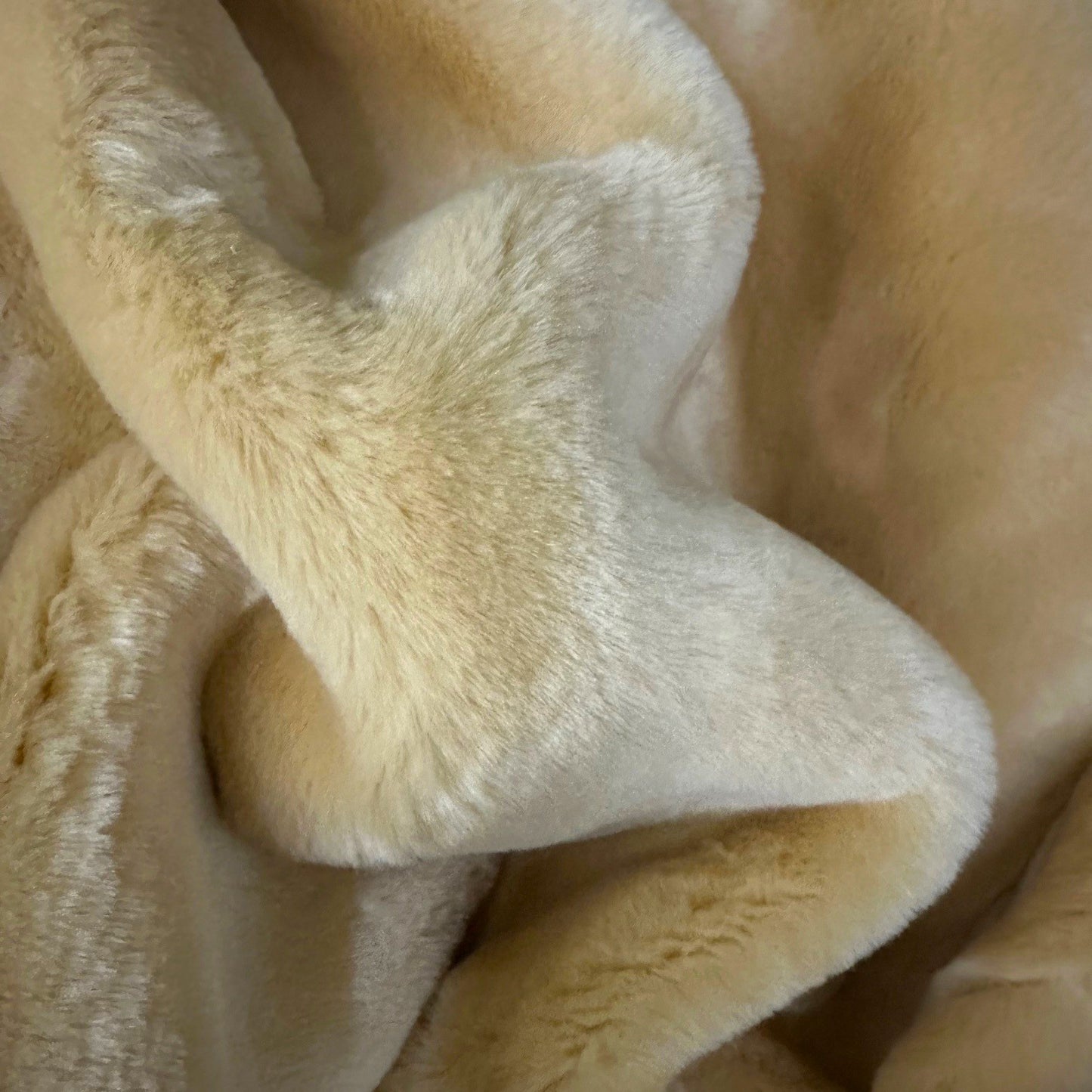 Northstar Super Beaver Honey Bear