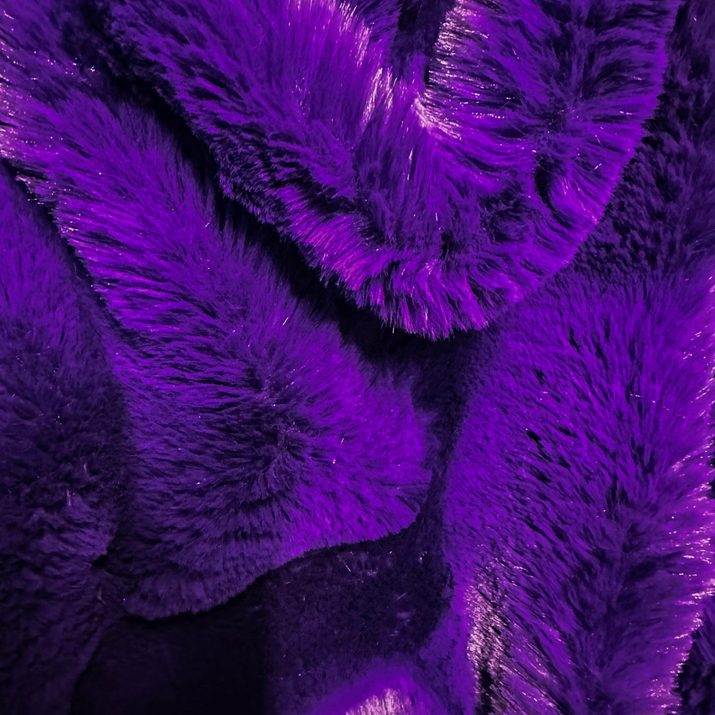 Tango Purple