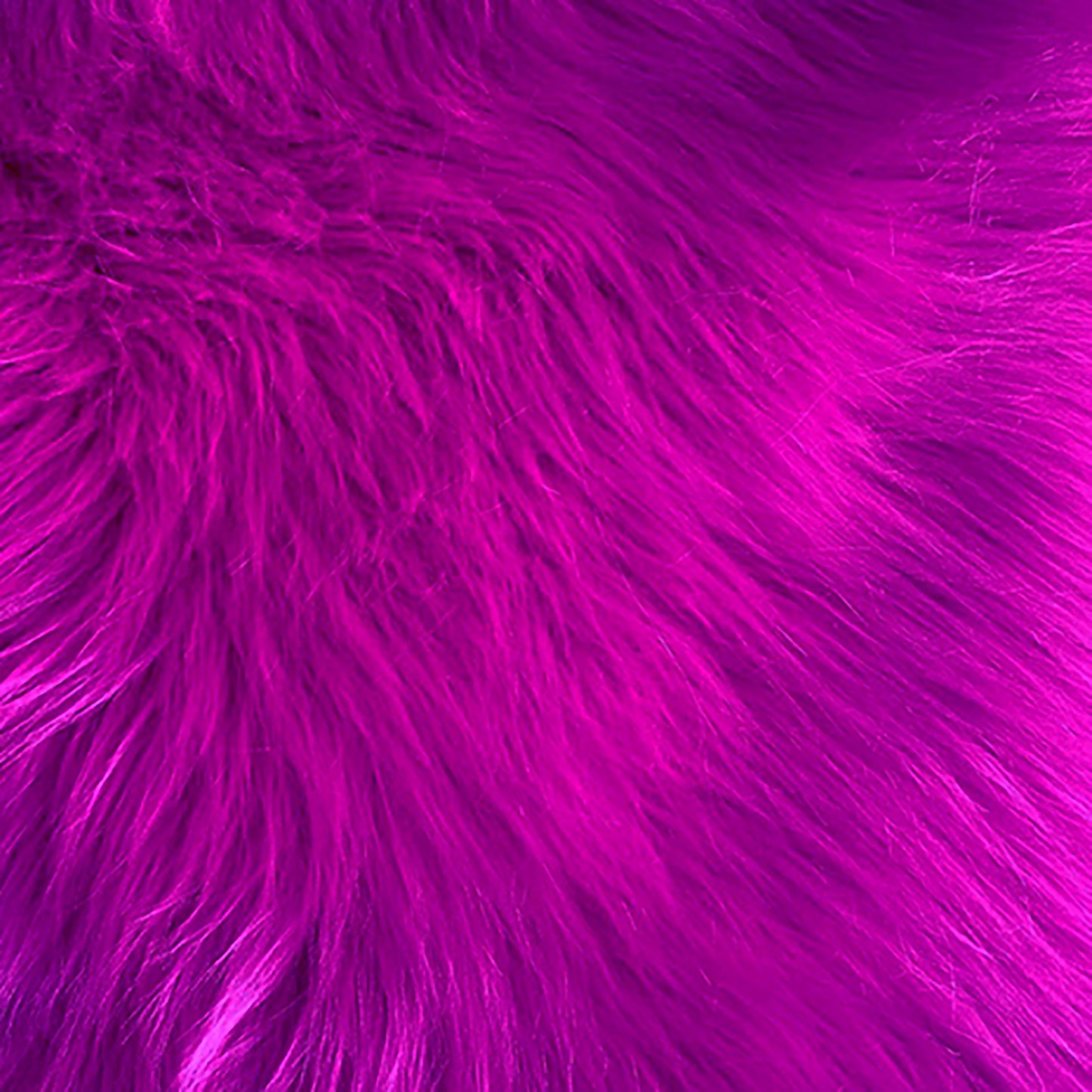 Zulu Fuchsia
