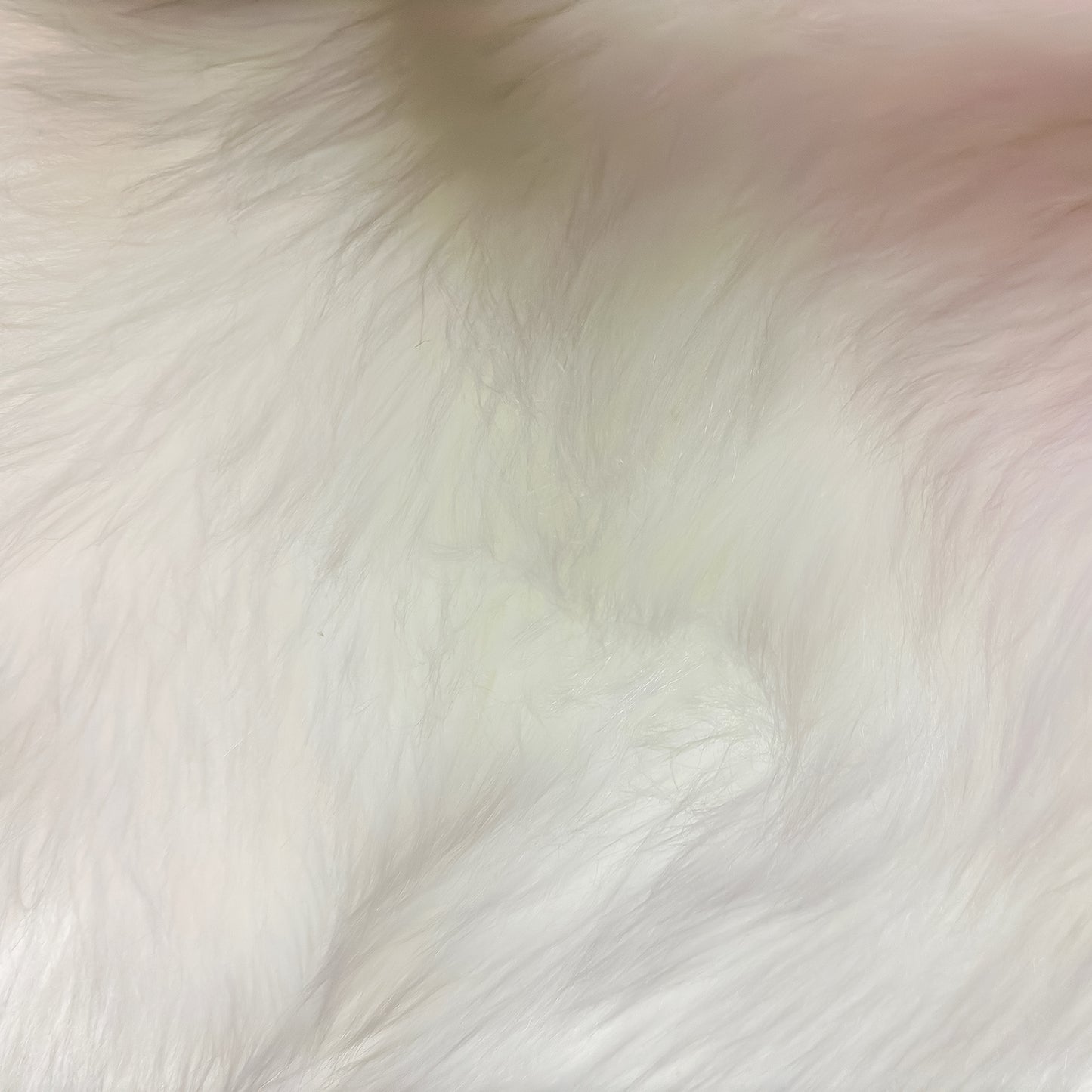 Zulu White