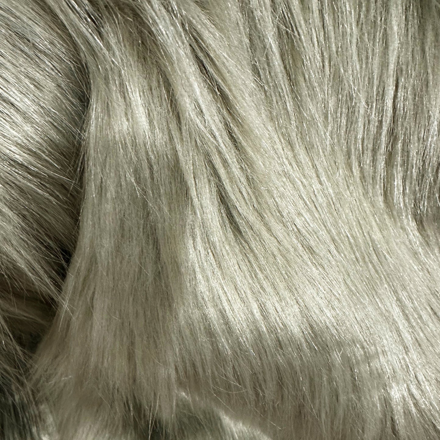 Zulu Oyster