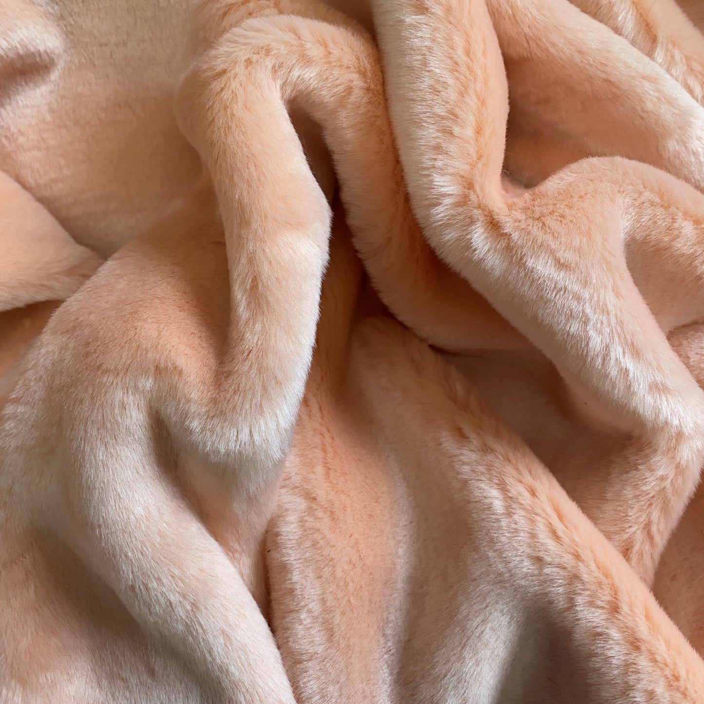 Northstar Baby Blush