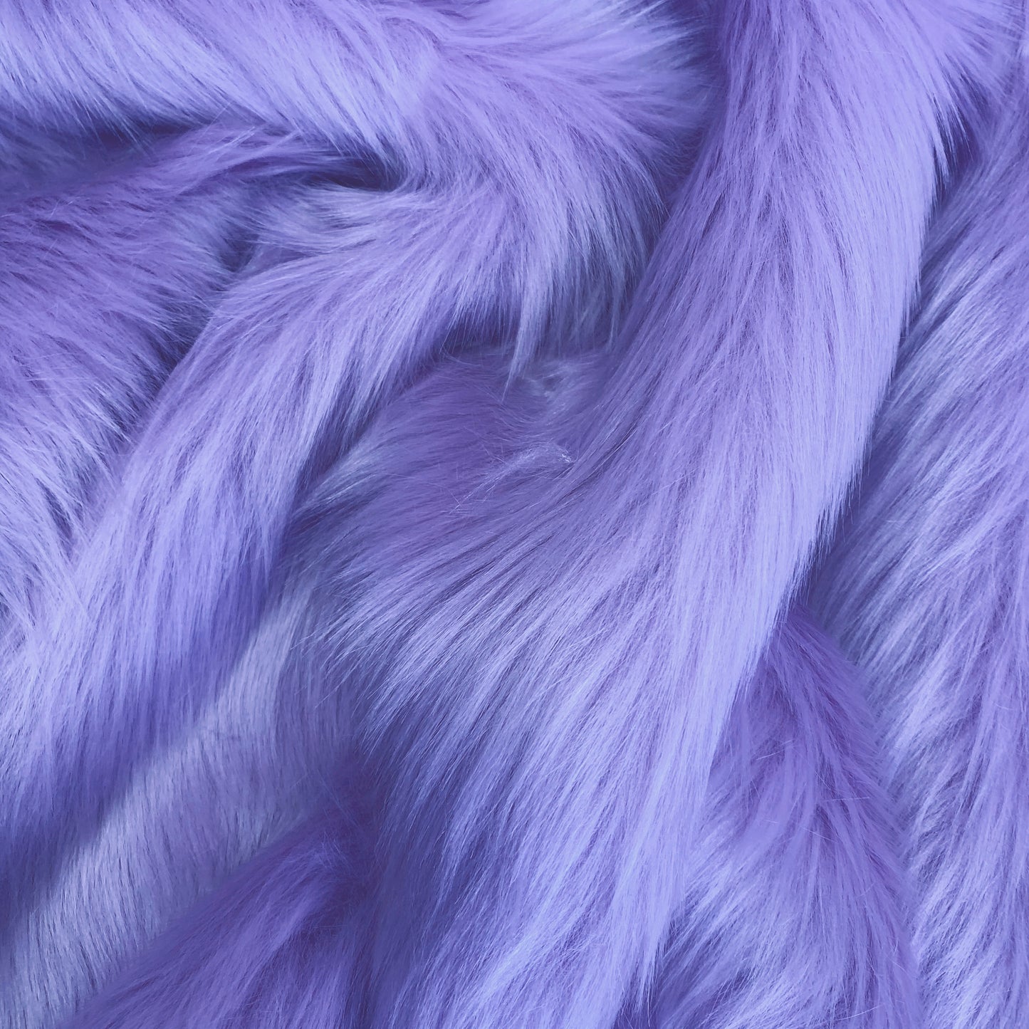 Zulu Lavender