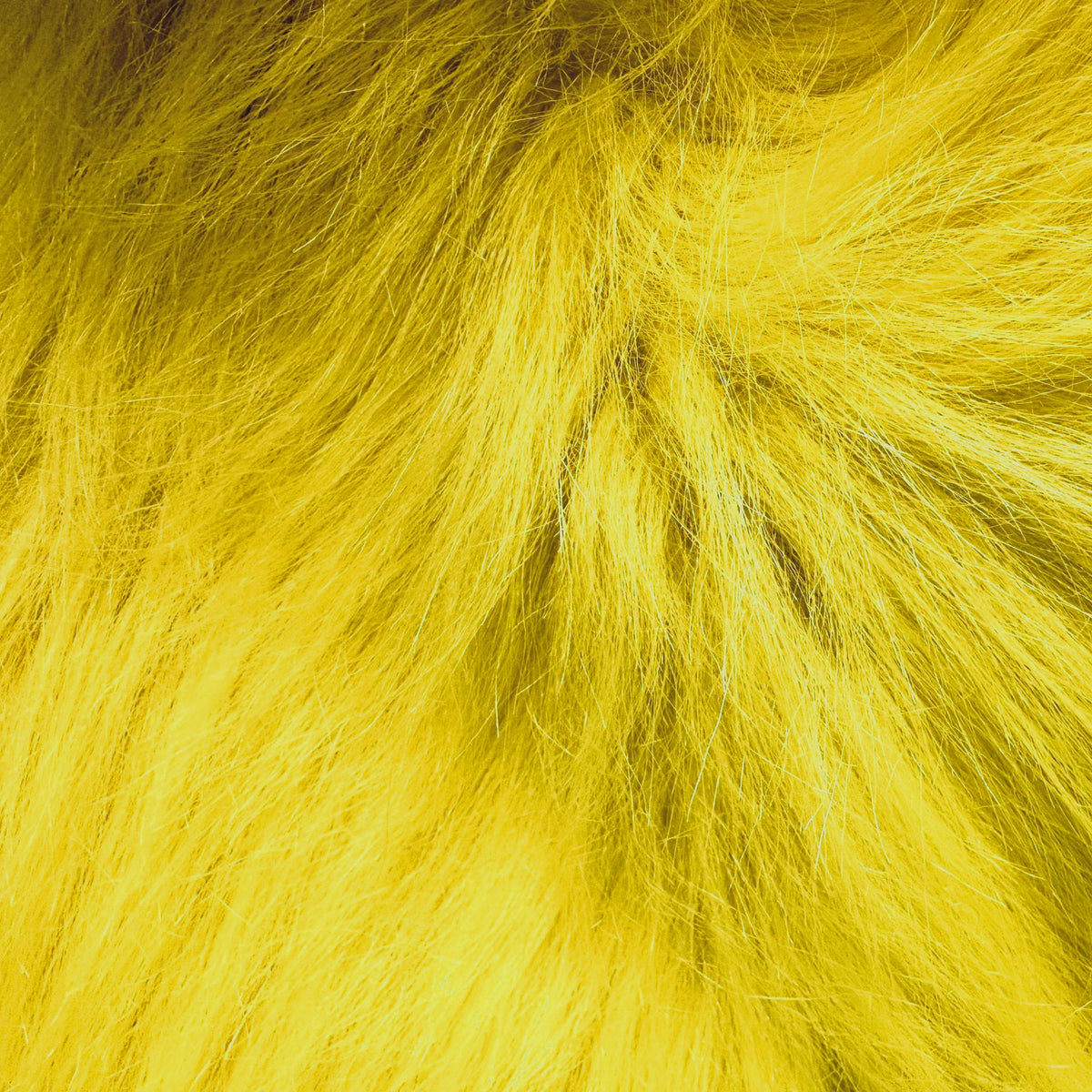Explorer Yeti Neon